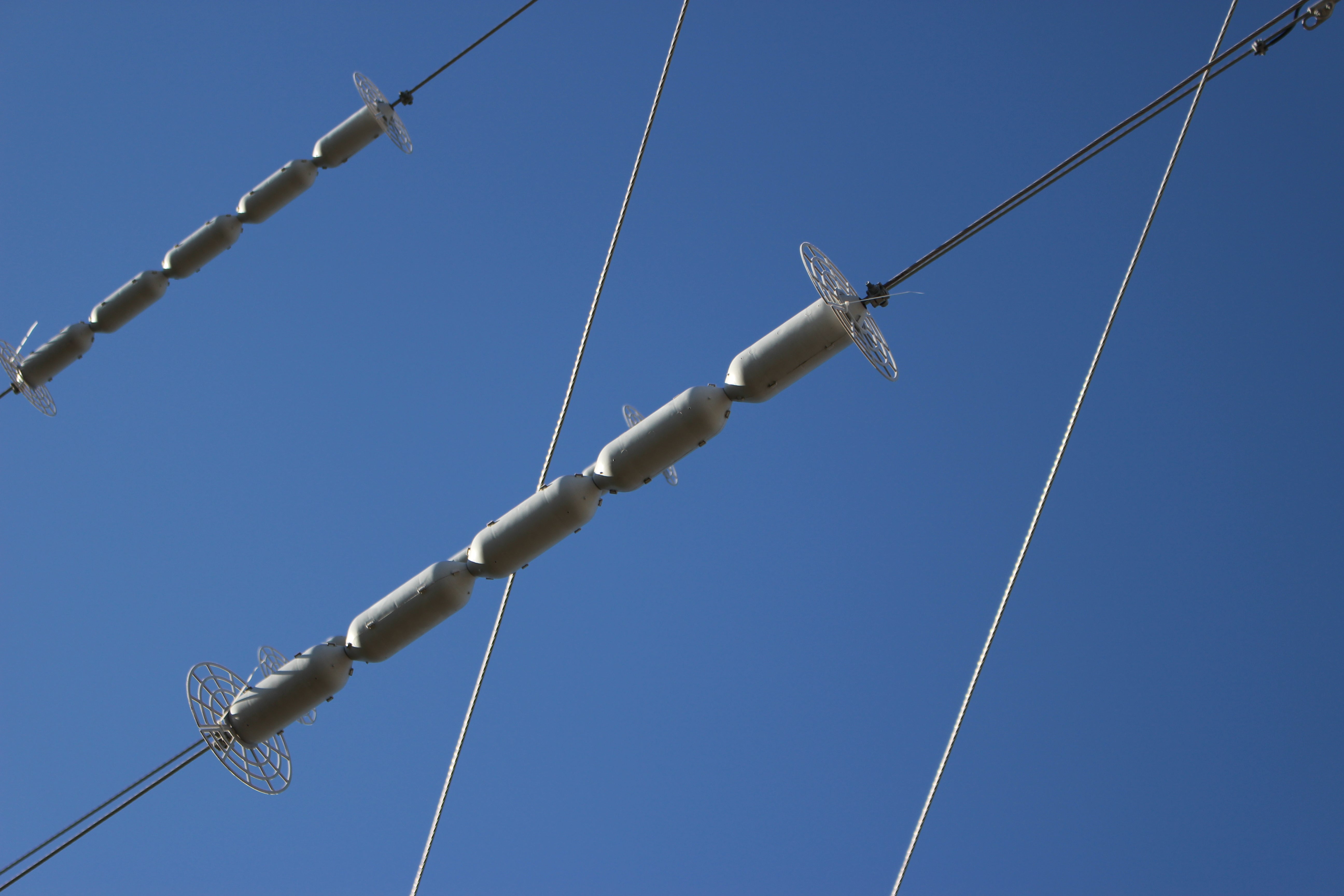 line guard on power lines