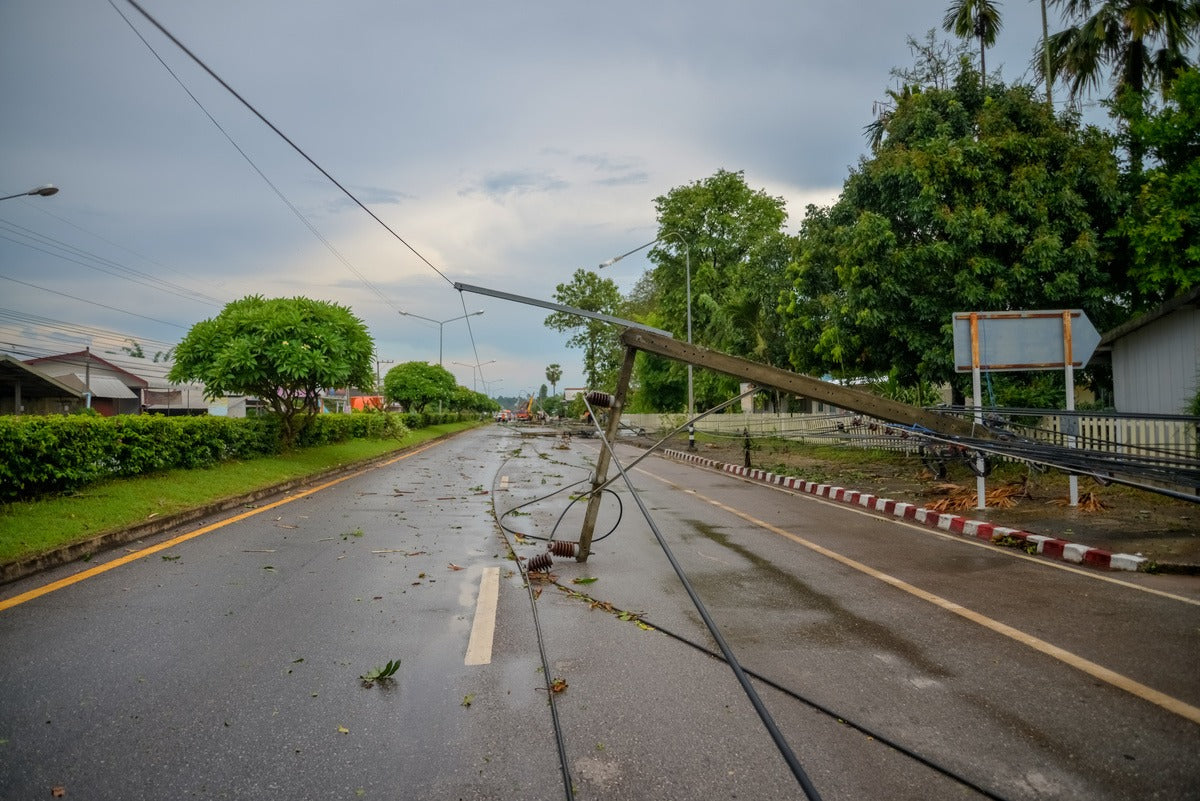 power line fallen on the road