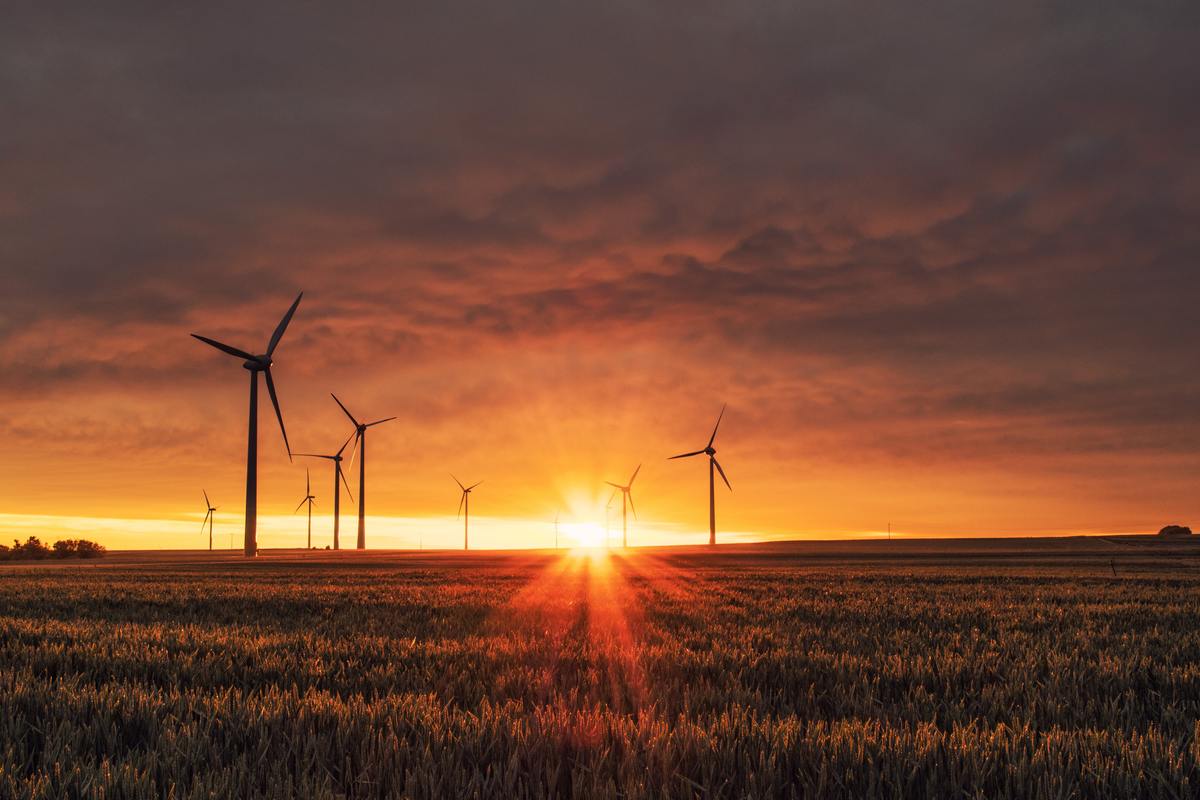 4 Ways Businesses Can Benefit from Renewable Energy Sources