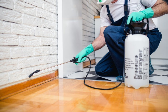 pest control company providing services to household