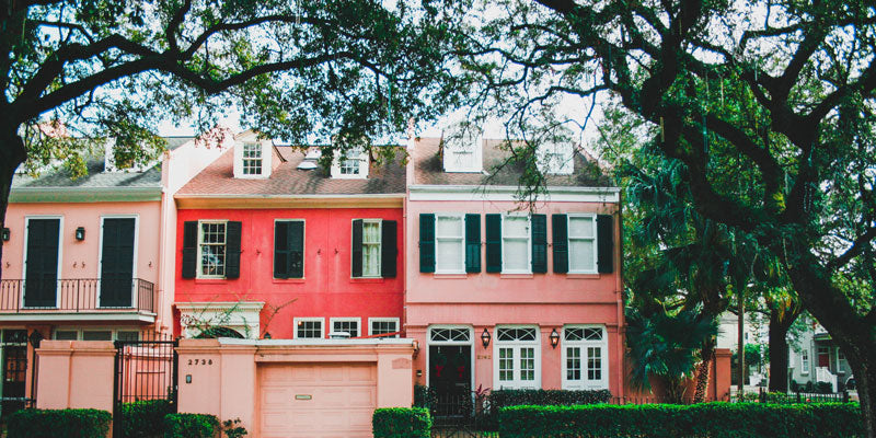 homes needing protection from squirrels in nearby trees