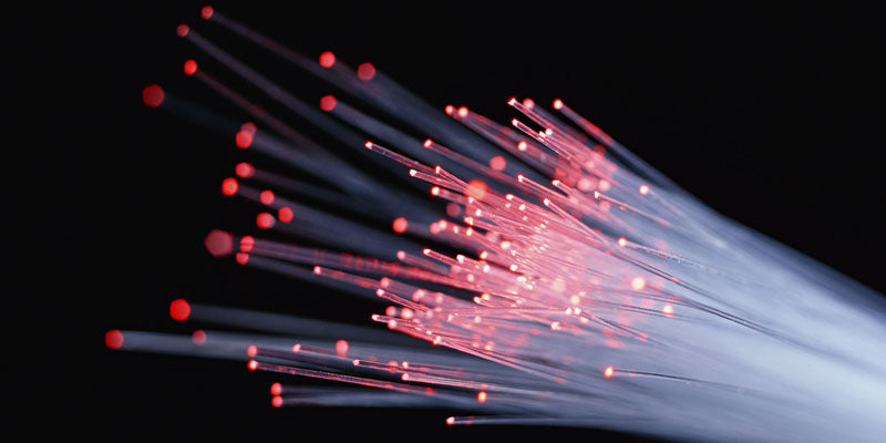 lit up strands of fiber optic cable