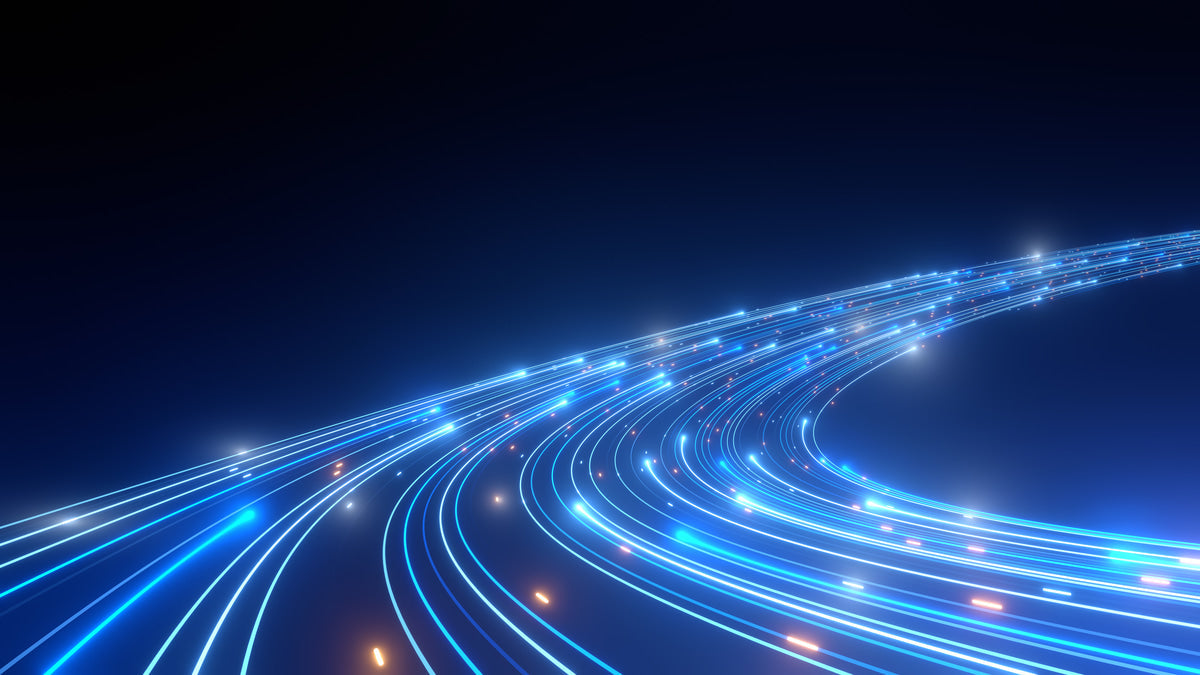 Overhead vs. Underground Fiber Optic Lines: How Wildlife Risks Differ