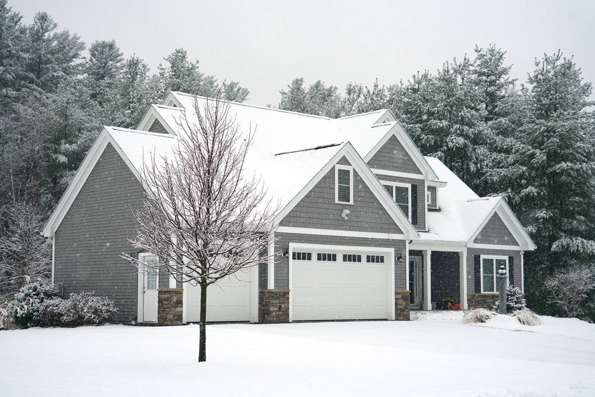 Why Regular Critter Inspections Are Essential After Winter Storms
