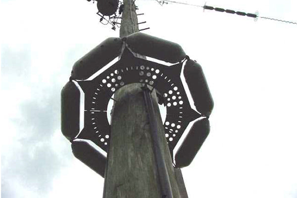 Pole Guard shown on a wooden power utility pole