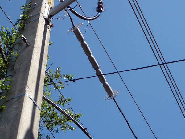 overhead triplex power lines protected by line guard