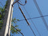 overhead triplex power lines protected by line guard