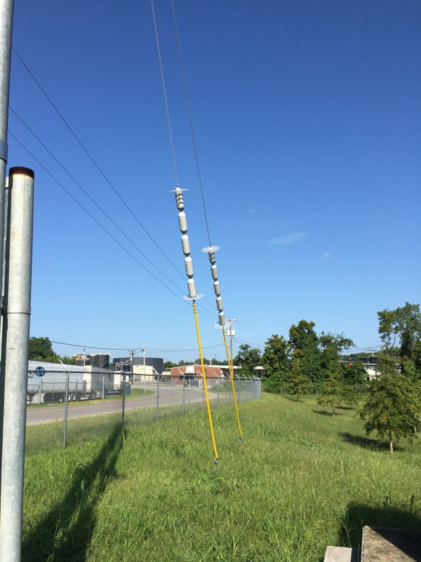 critter guard shown on utility pole guy wire