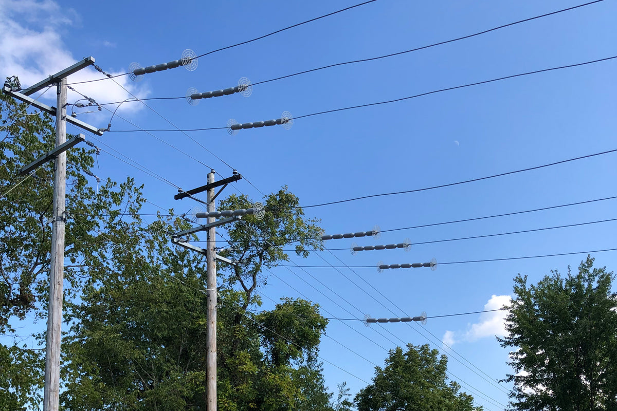 power line guard protecting lines from squirrel access via trees