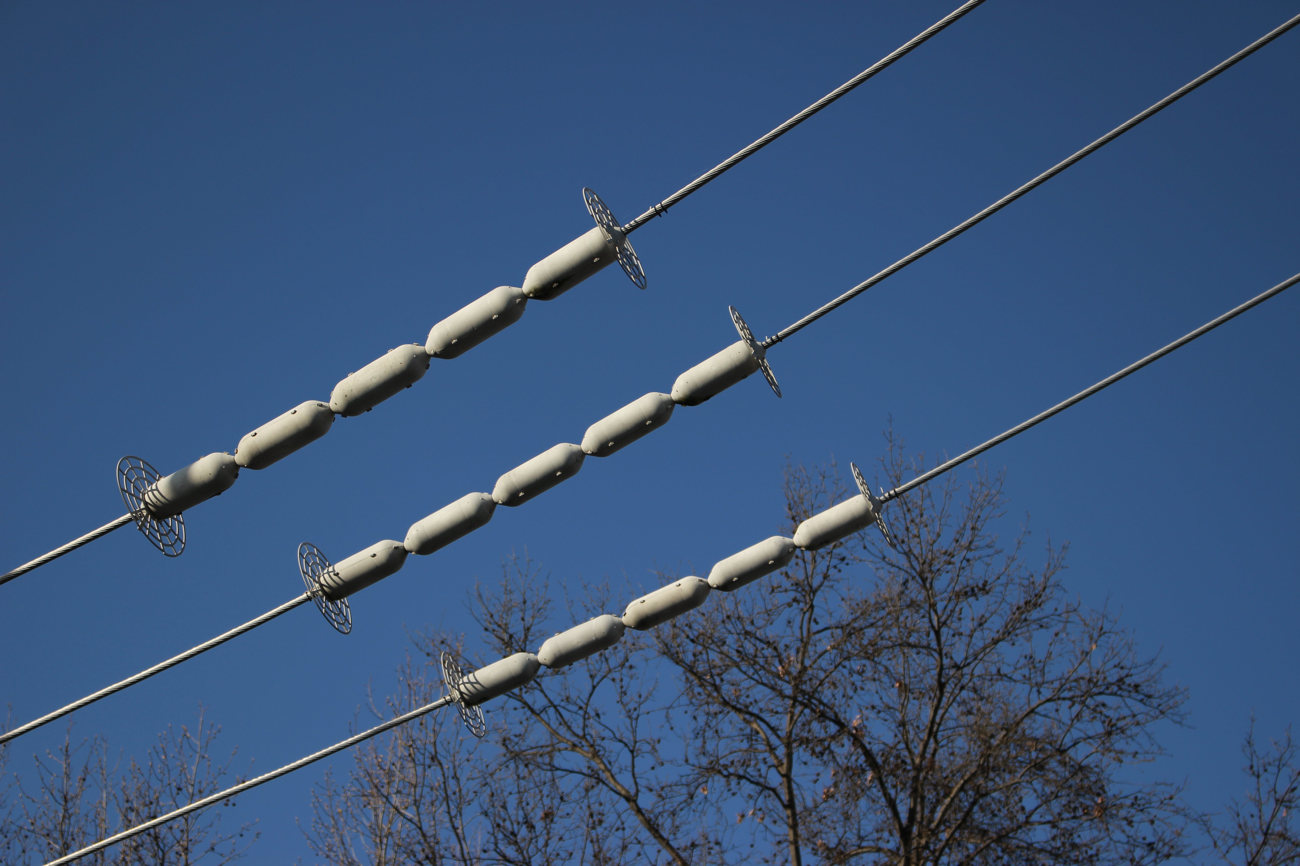 critter guard line guard shown on power lines