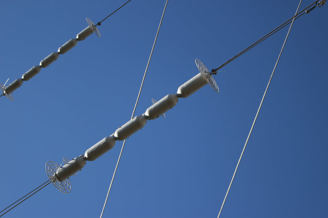 line guard on power lines