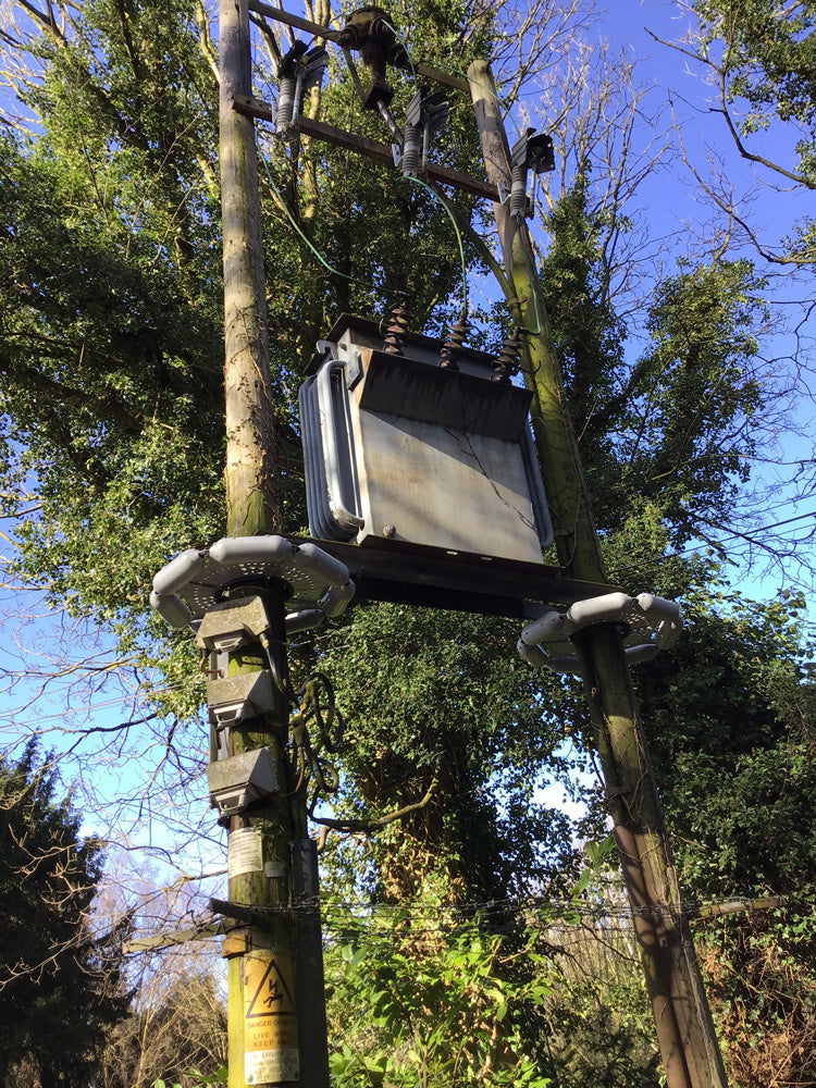 pole guards blocking squirrels access to utility poles in wooded area