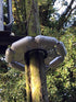 close up of pole guard on a utility pole