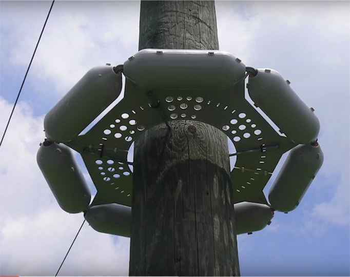 pole guard on wood utility pole