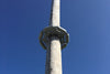 pole guard installed on utility pole