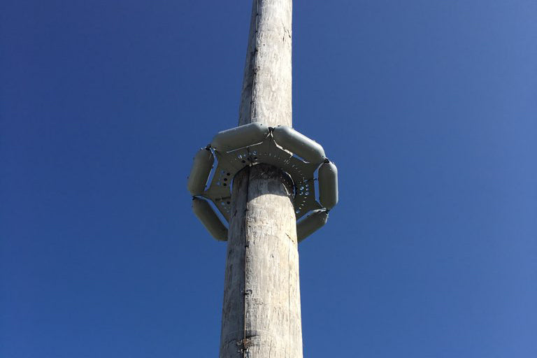 pole guard installed on utility pole