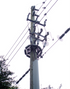 pole guard protecting power pole
