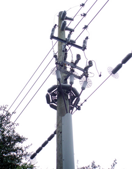 pole guard protecting power pole