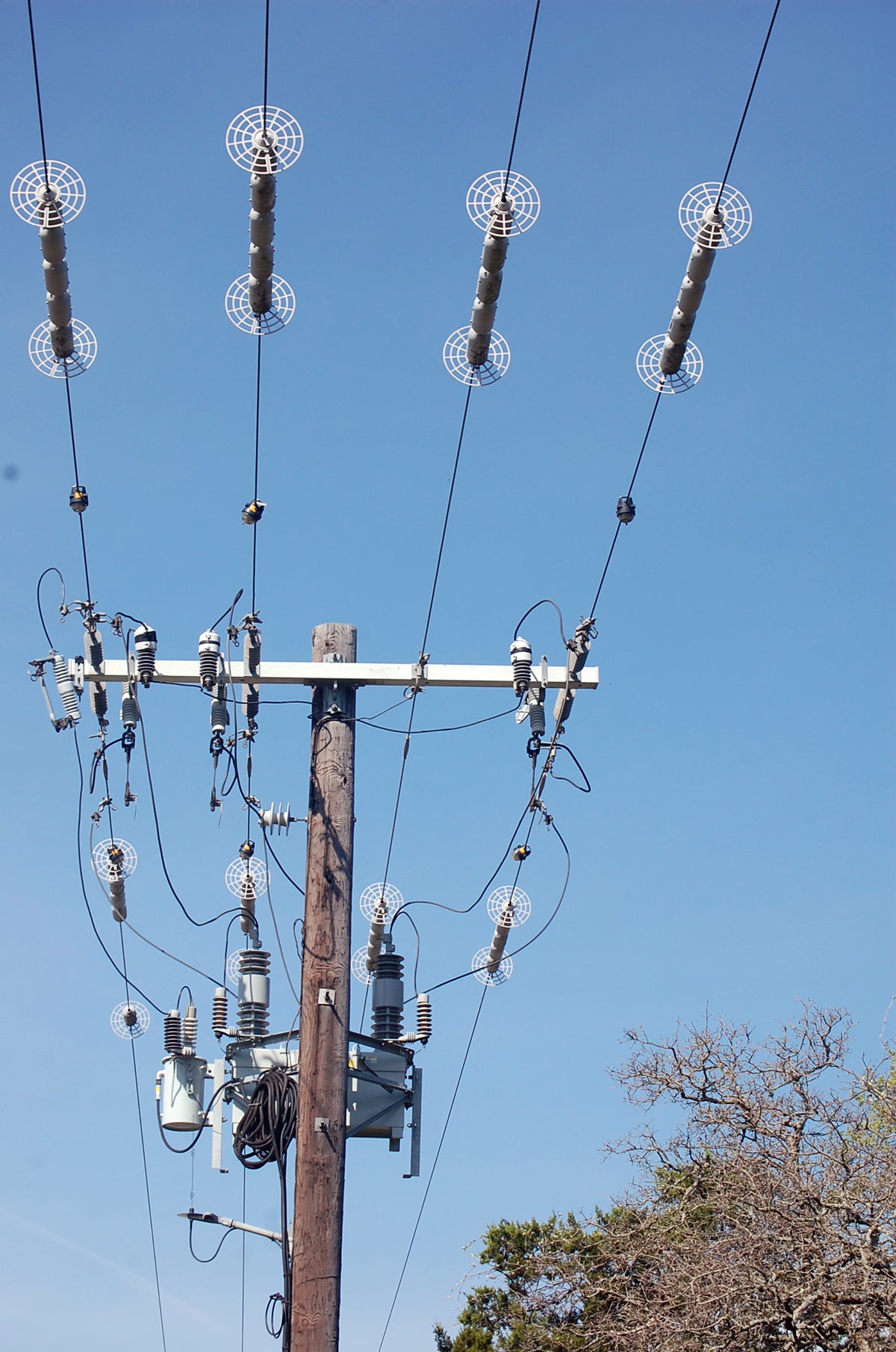 squirrel guard install on power lines